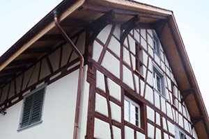 Fassade Riegelhaus